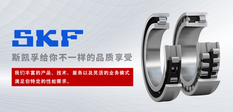 上海盛鼎隆傳動(dòng)科技有限公司